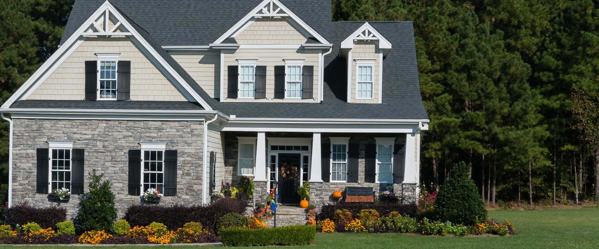How to Identify Pest Infestations Before Hiring a Pest Control Service in Fort Mill SC