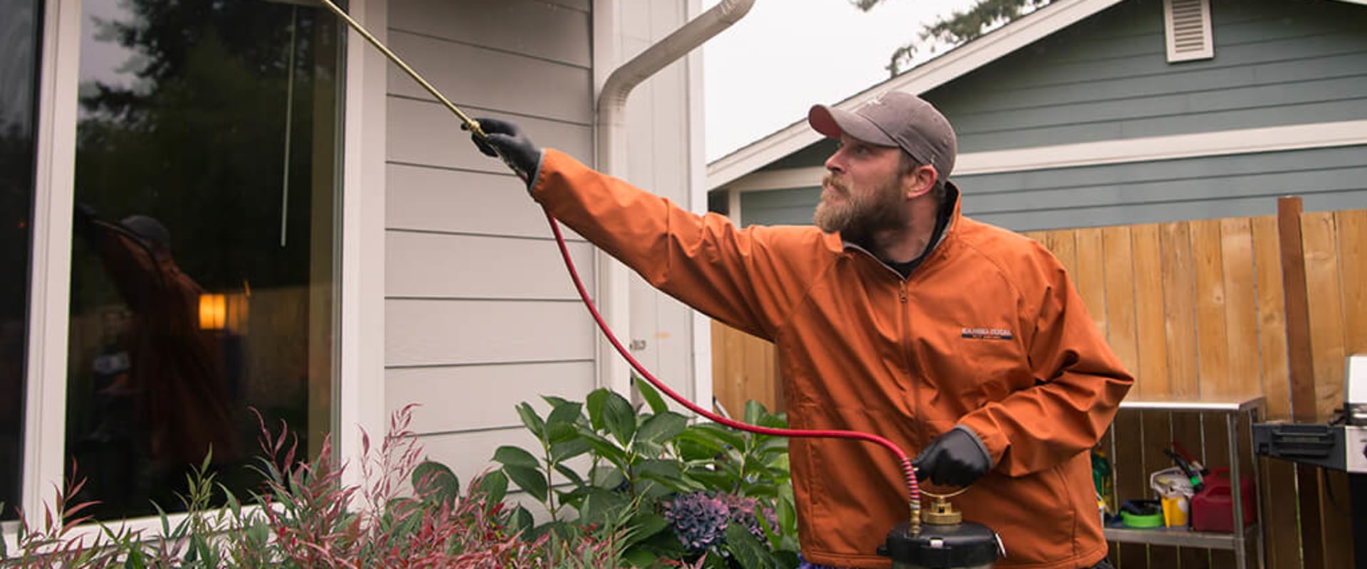 Safety Measures to Take When Using a Pest Control Service in Fort Mill SC