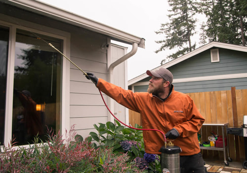 Safety Measures to Take When Using a Pest Control Service in Fort Mill SC