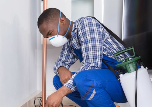 How to Find the Best Pest Control Services in Fort Mill, SC