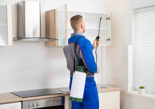 Why Regular Pest Control Is Important For Fort Mill, SC Homeowners
